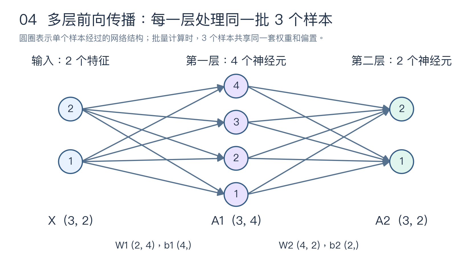 两层网络及批量输入输出形状