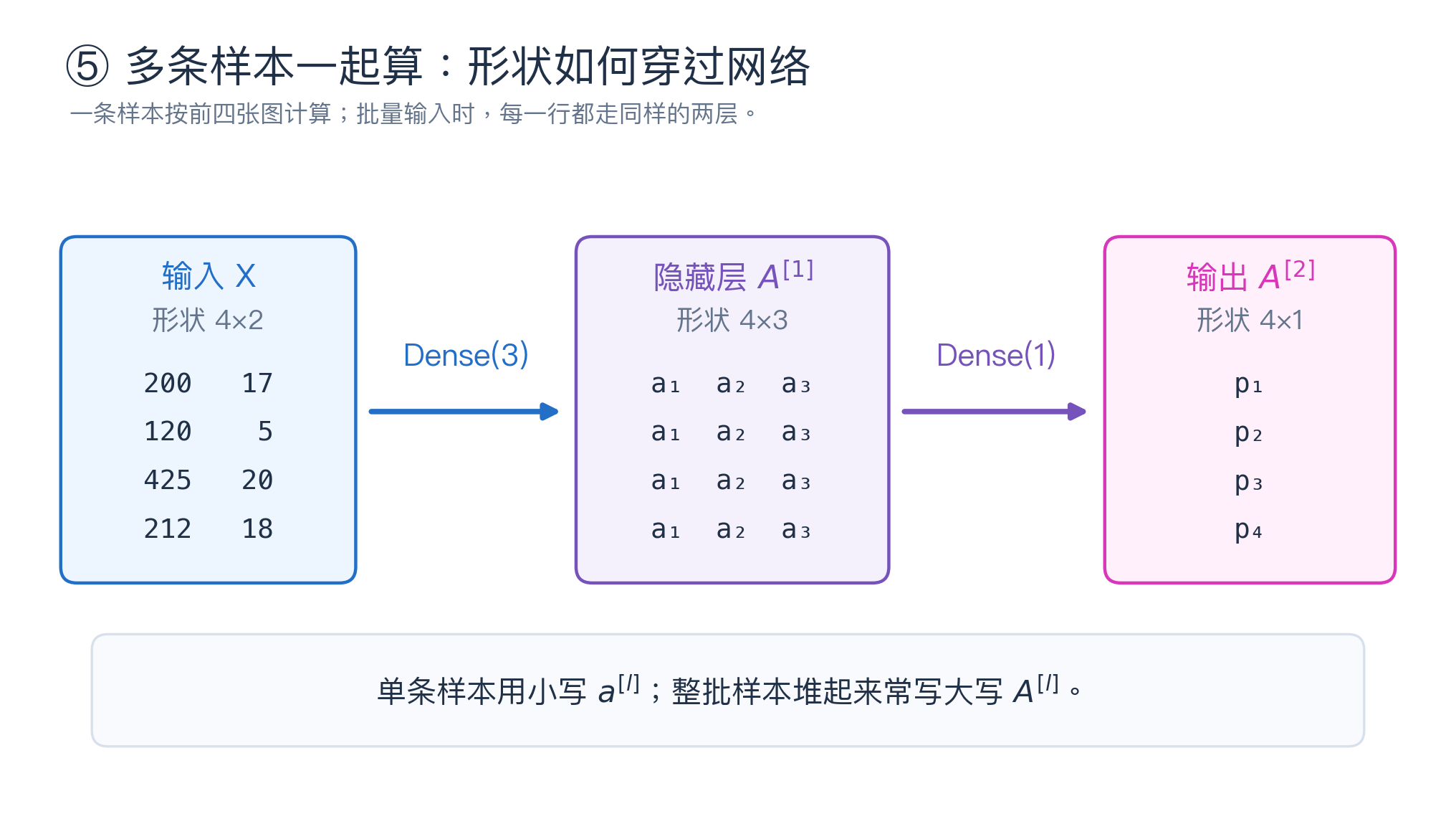 批量前向传播的形状